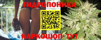 стаф Комсомольск-на-Амуре