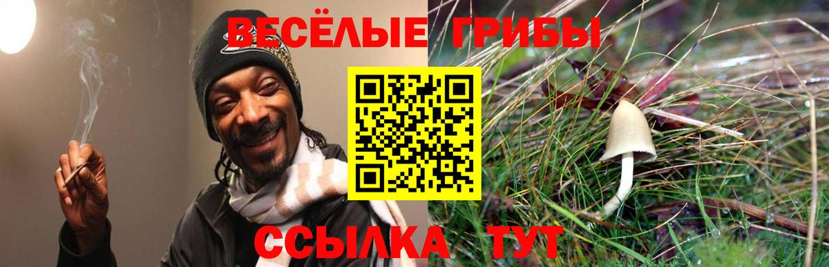 купить  сайты  Галлюциногенные грибы Psilocybe  Псилоцибиновые грибы Psilocybe  Вход с VPN  Конаково 