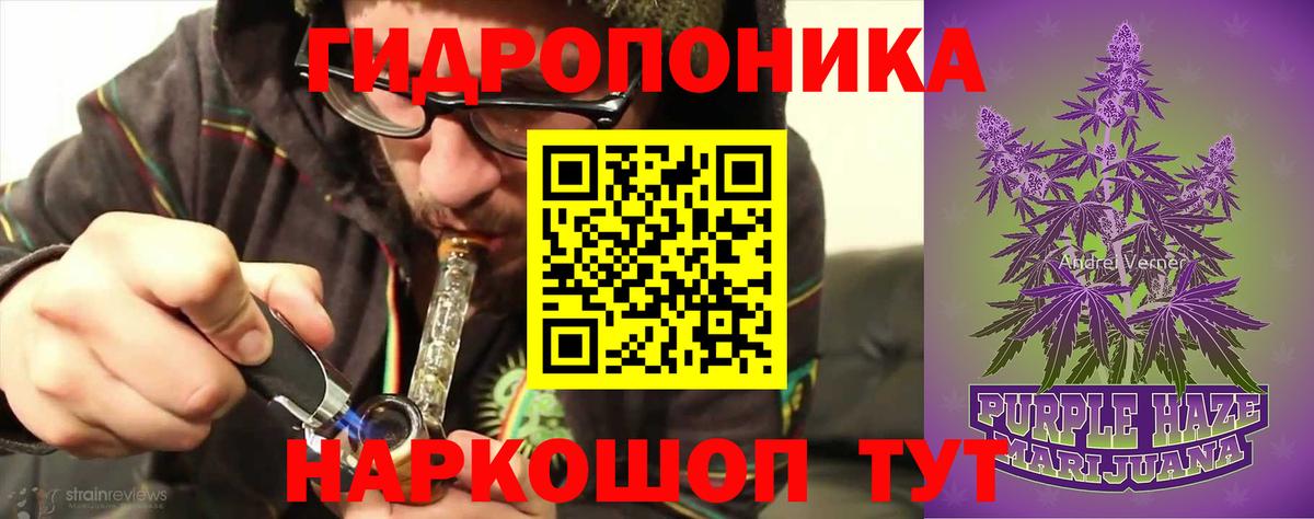 Шишки марихуана марихуана Конаково